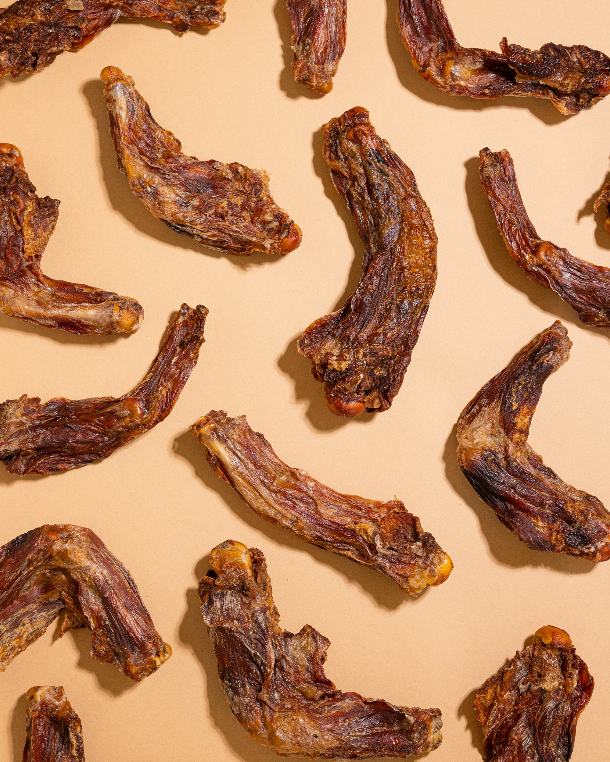 Air-Dried Crocodile Legs