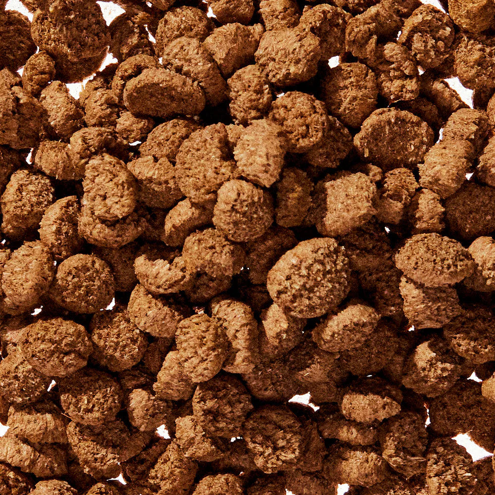 Wonderland Supplement