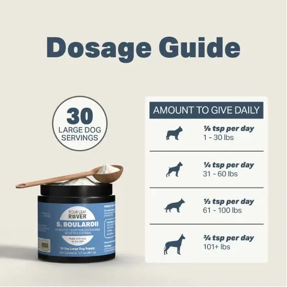 Saccharomyces Boulardii (Yeast Probiotics)