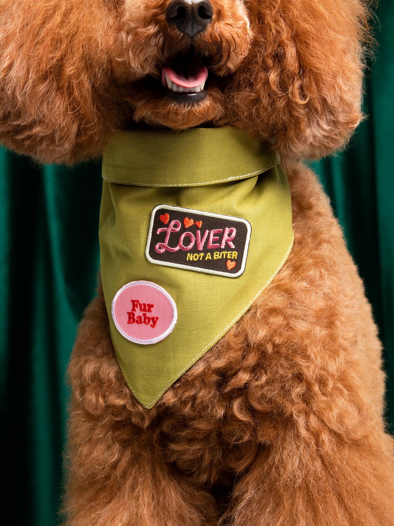 Lover not a Biter (iron-on patch)