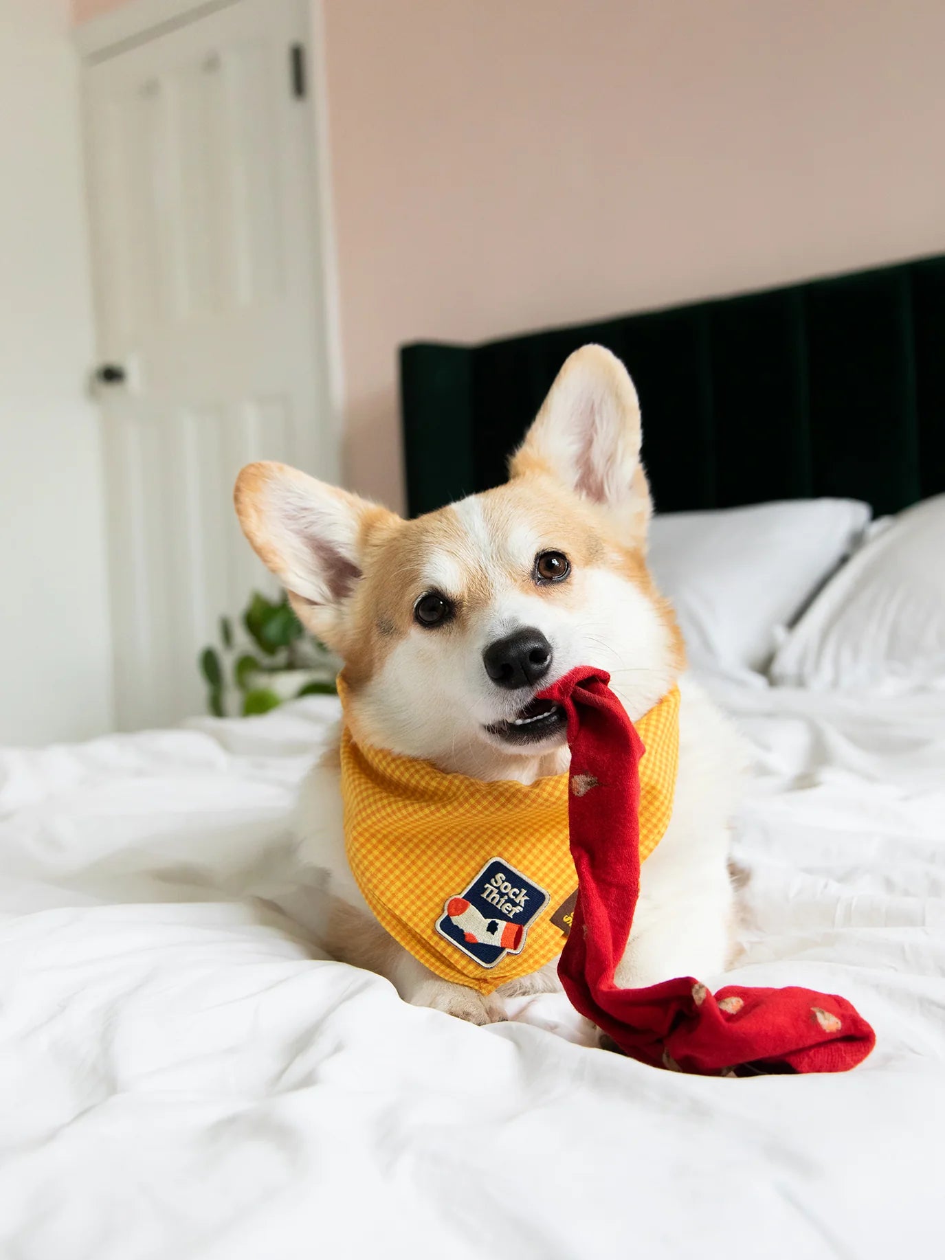 Sock Thief (iron-on patch)