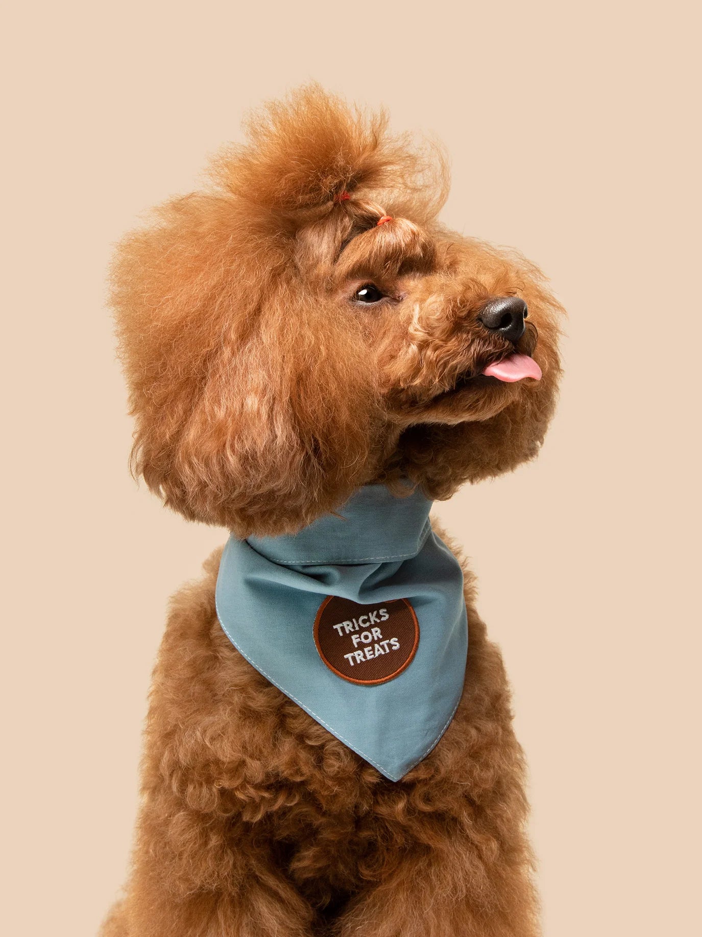 Tricks for Treats (iron-on patch)