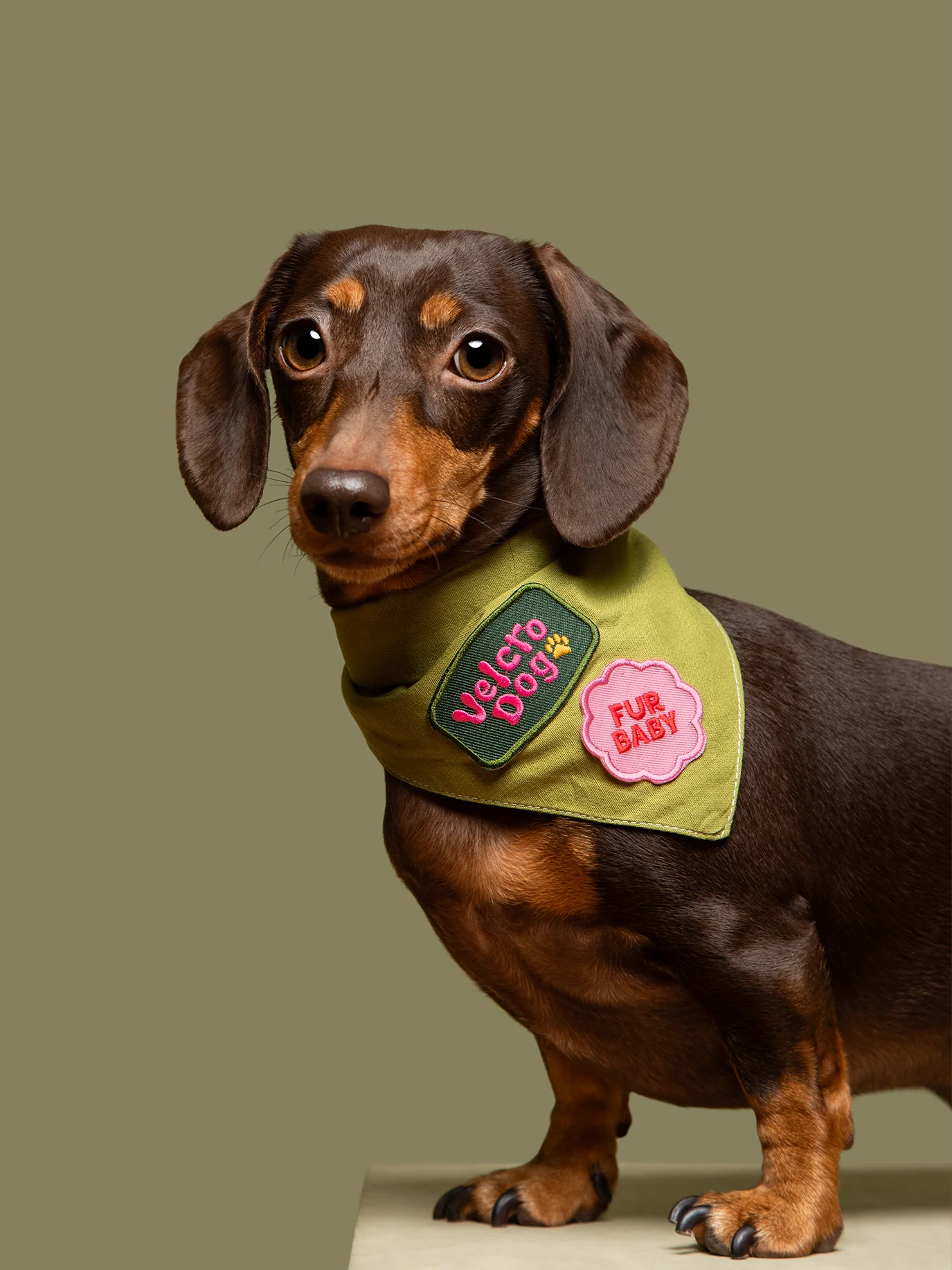 Velcro Dog (iron-on patch)