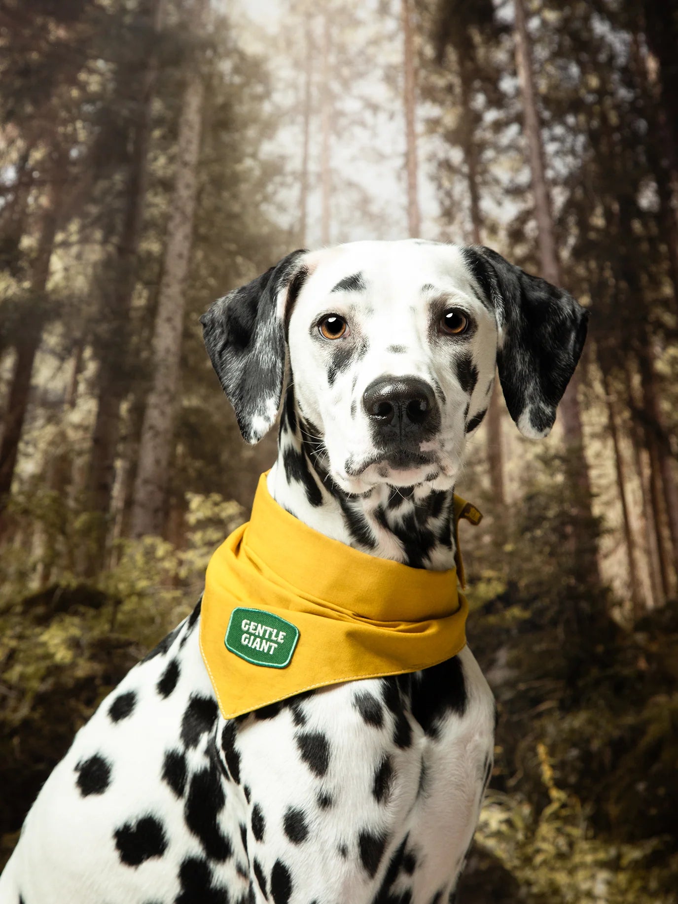 Gentle Giant (iron-on patch)