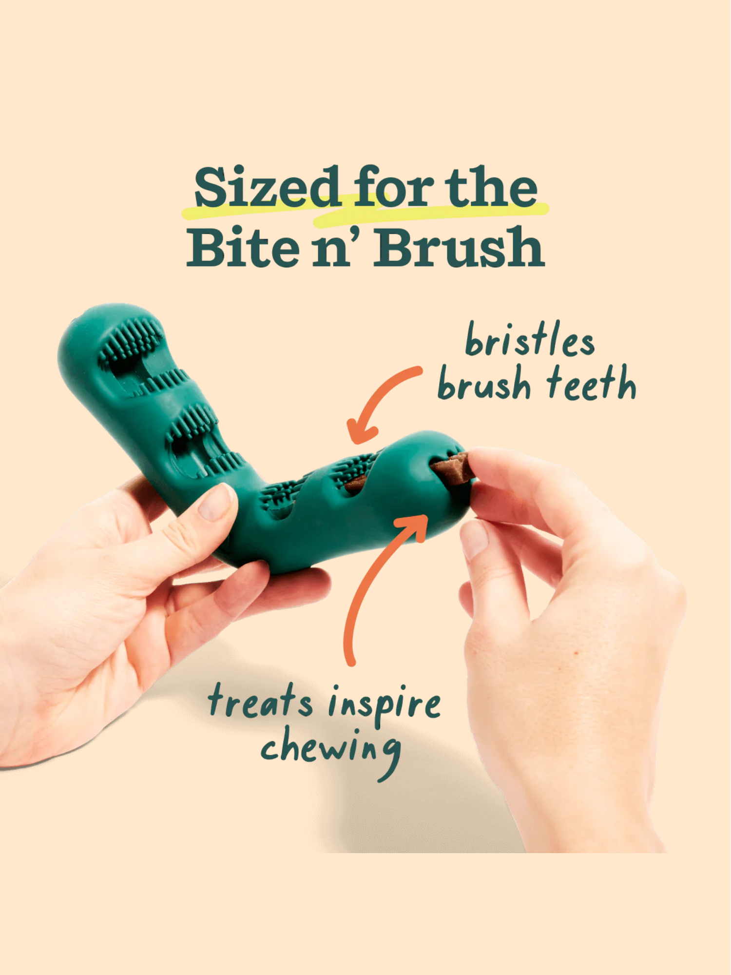 Bite n Brush Refills