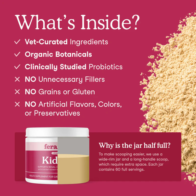 Kidney Support for Cats