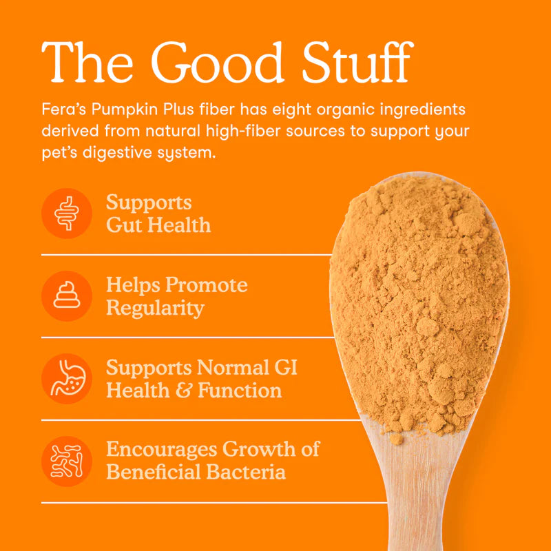 Pumpkin Plus Fiber Support