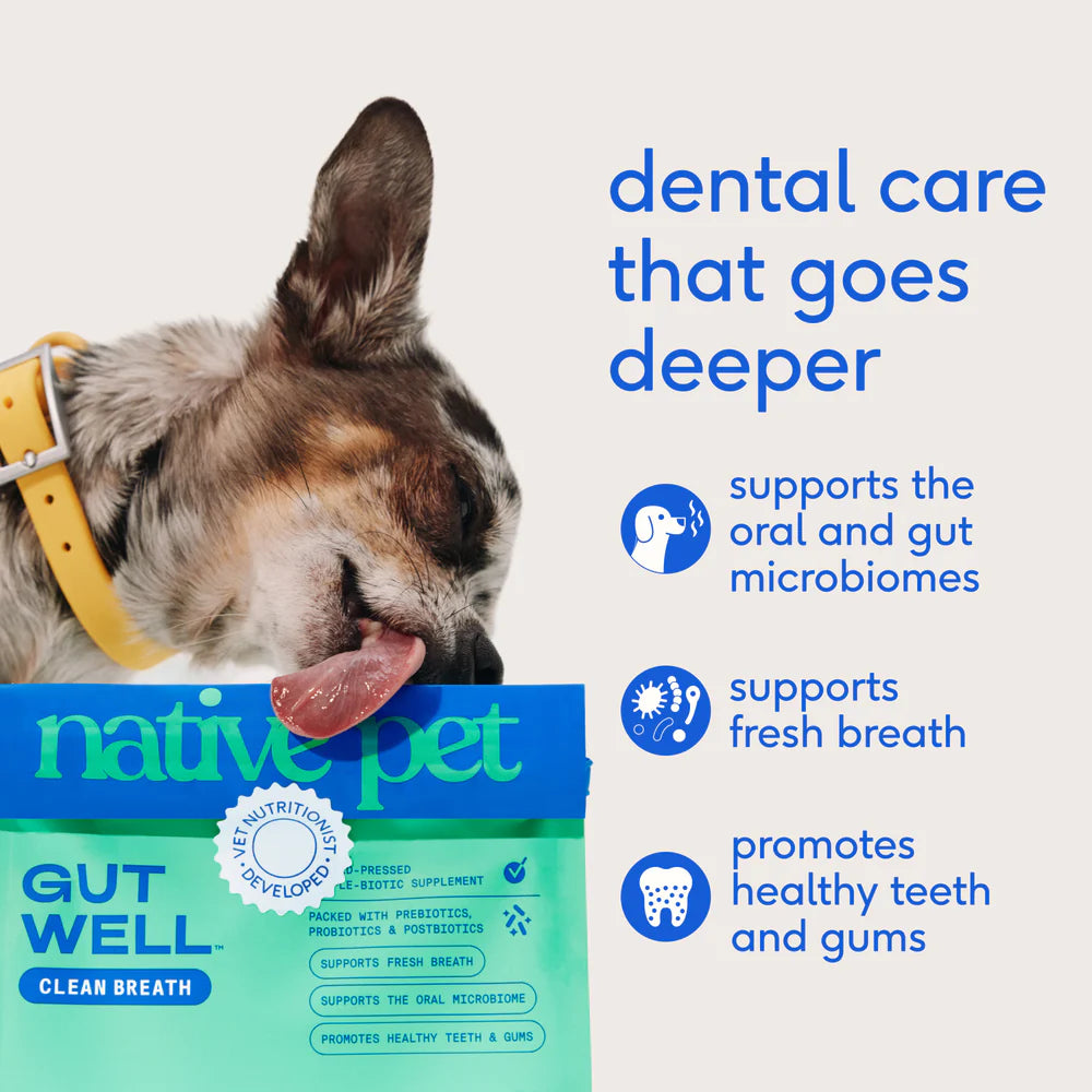 GutWell Clean Breath