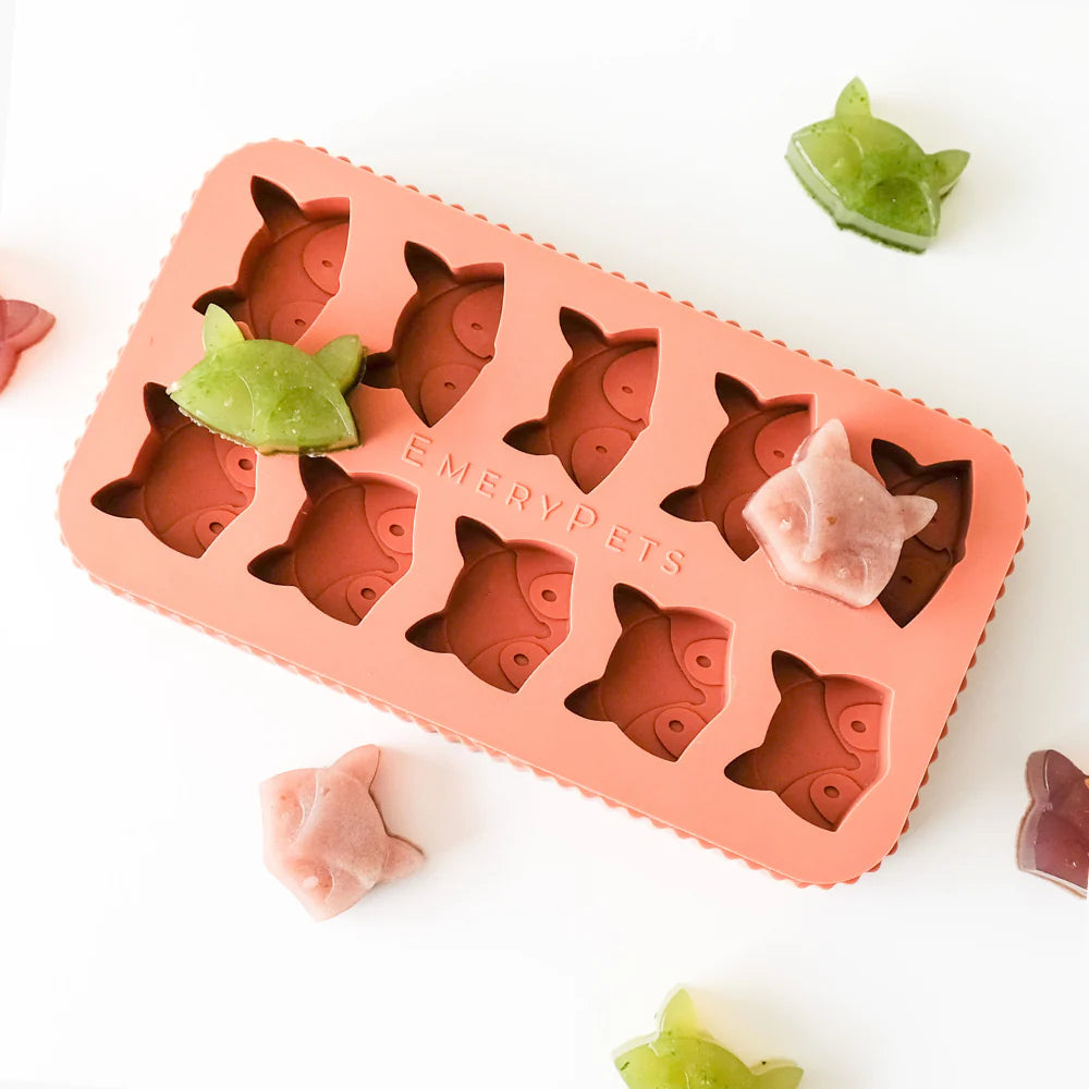 EmeryPets Treat Mold