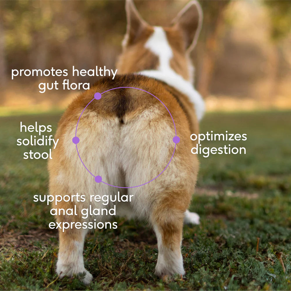 Wonderland Supplement