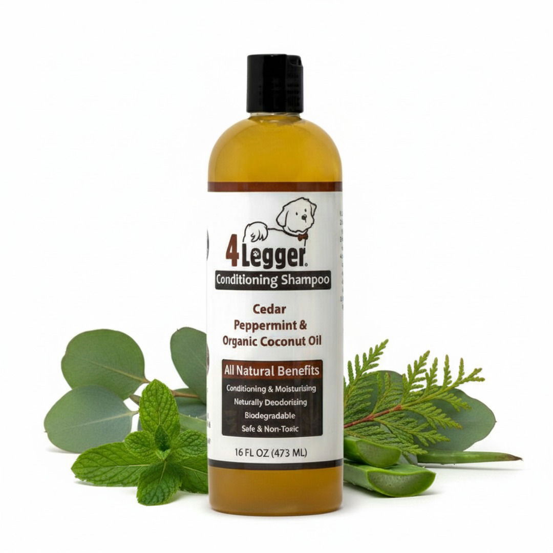 4-legger-food-grade-usda-organic-dog-shampoo-16-oz-organic-cedar-dog-shampoo-flea-defense-1230221759-1800x1800.jpg