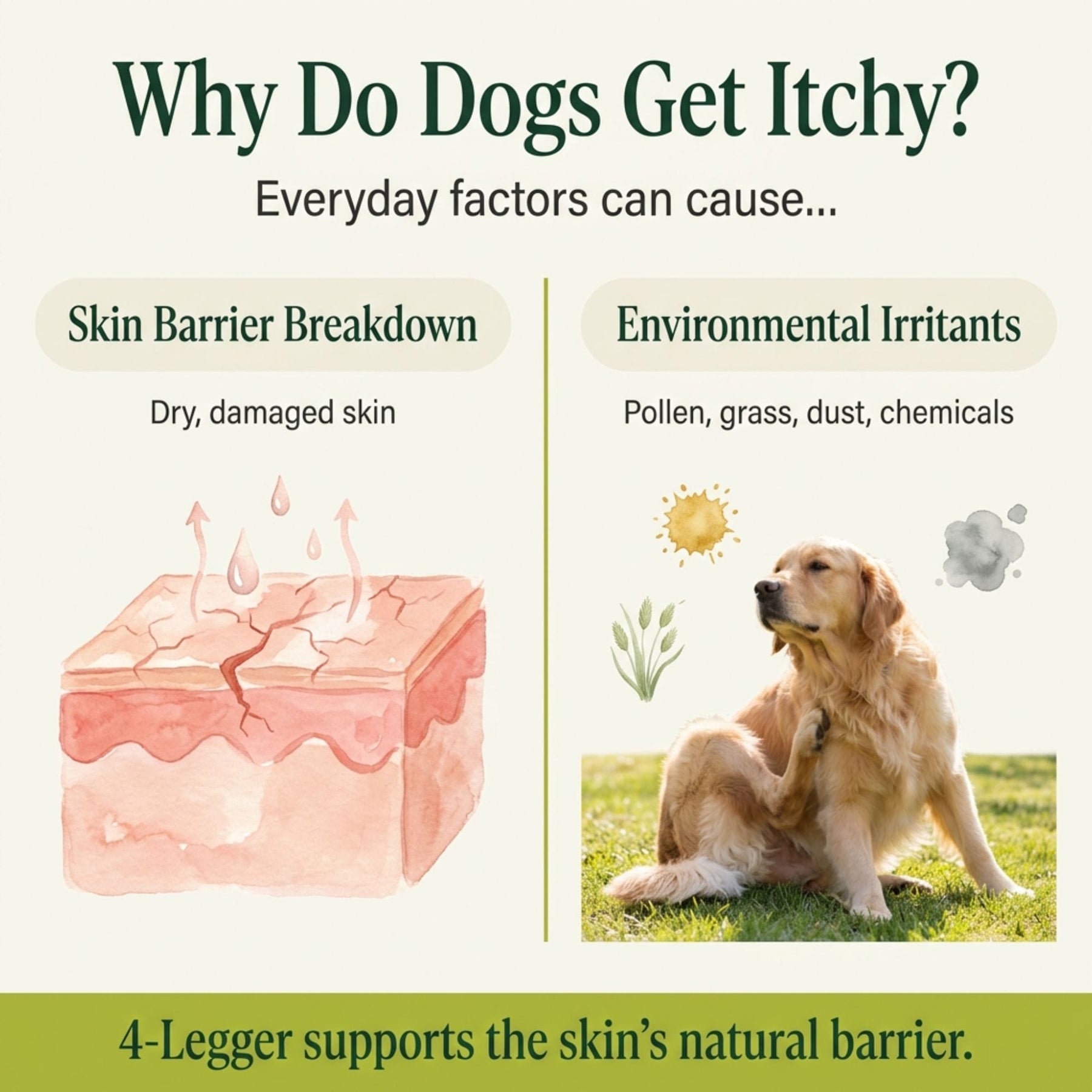 4-legger-food-grade-usda-organic-dog-shampoo-organic-lemongrass-aloe-hypoallergenic-dog-shampoo-1240311109-1800x1800.jpg