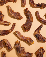 Air-Dried Crocodile Legs