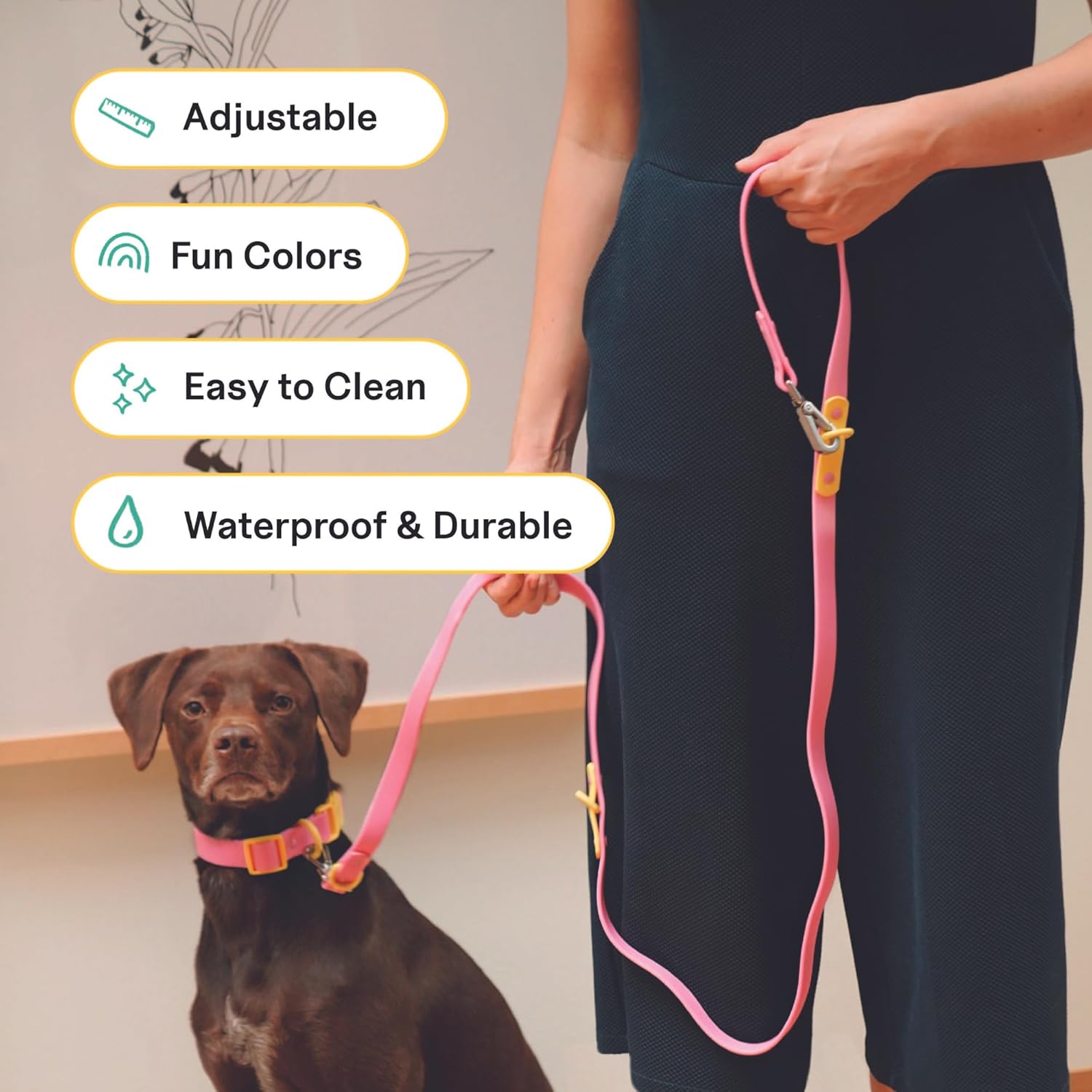 The Fritz Leash