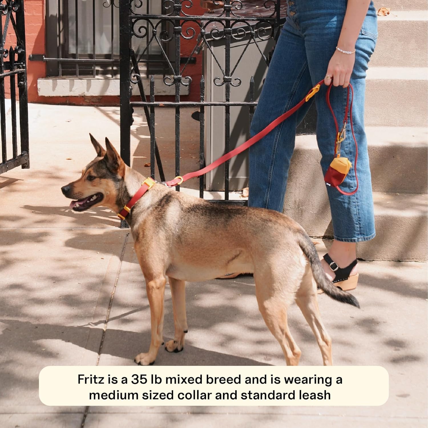 The Fritz Collar