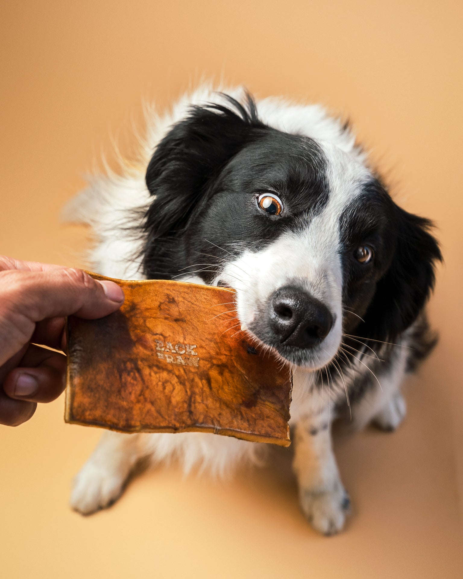 Air-Dried Cow Skin