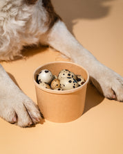 Frozen Quail Eggs