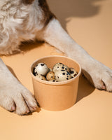 Frozen Quail Eggs