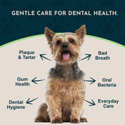 Sea-Dent Dental Support Herbal Soft Chews
