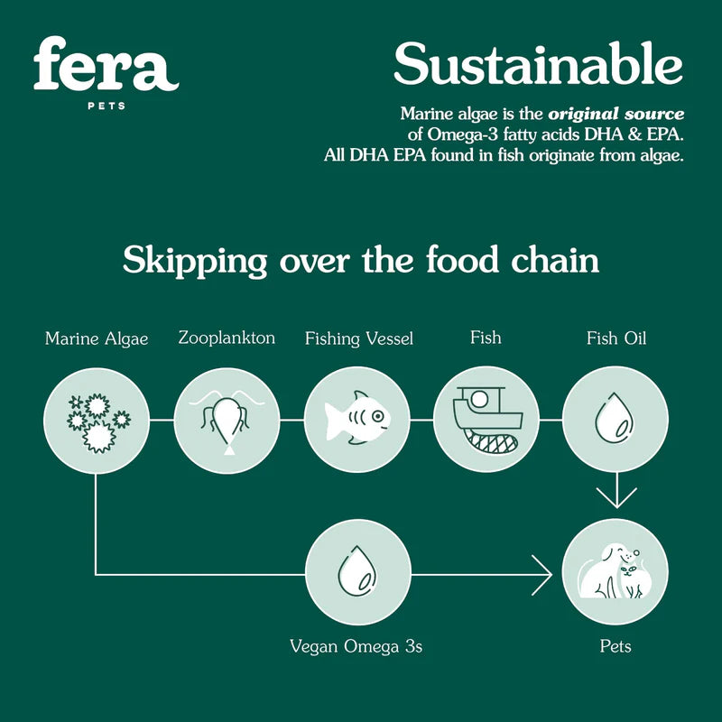 Algae Oil Omega-3, 6, 9