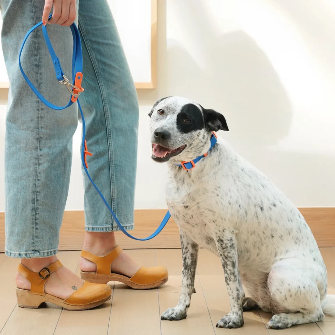 Fritz Collar + Leash Walk Set