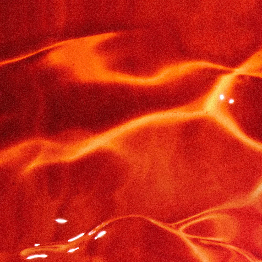 Wild-Caught Alaskan Sockeye Salmon Oil