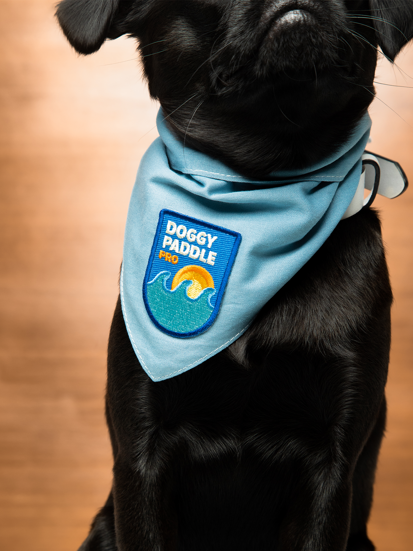 Doggy Paddle Pro (iron-on patch)