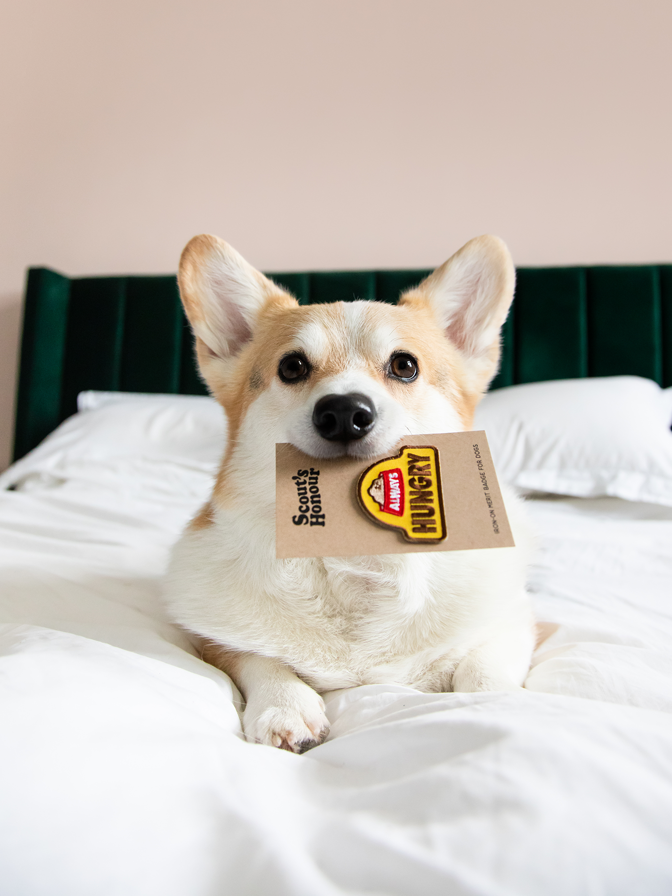 Always Hungry (iron-on patch)