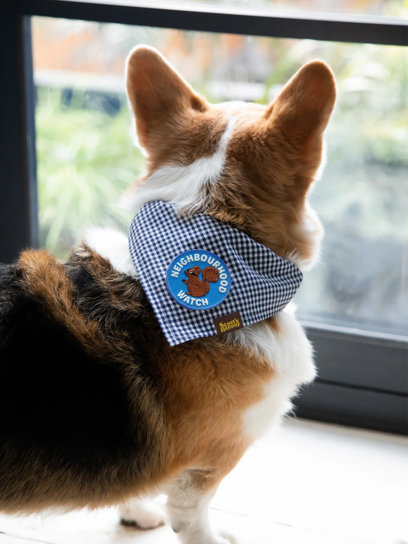 Neighborhood Watch (iron-on patch)