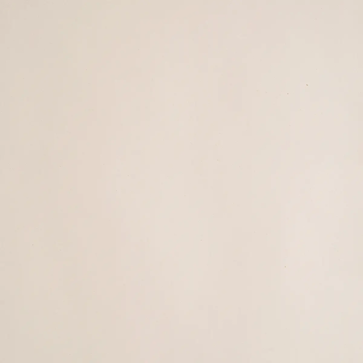 Polkadog Alaskan Salmon Chips