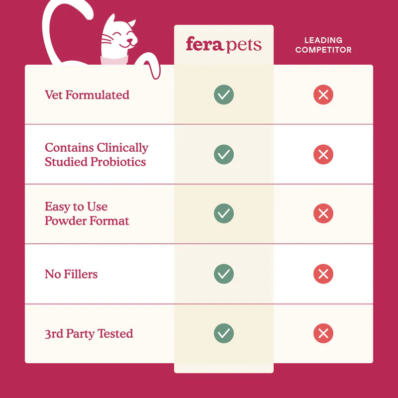 Kidney Support for Cats