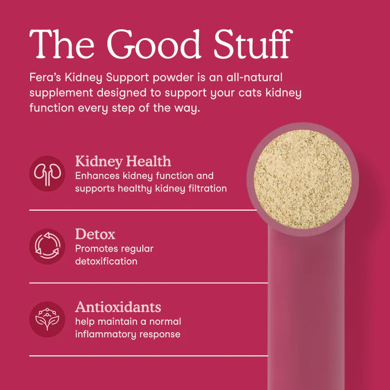 Kidney Support for Cats