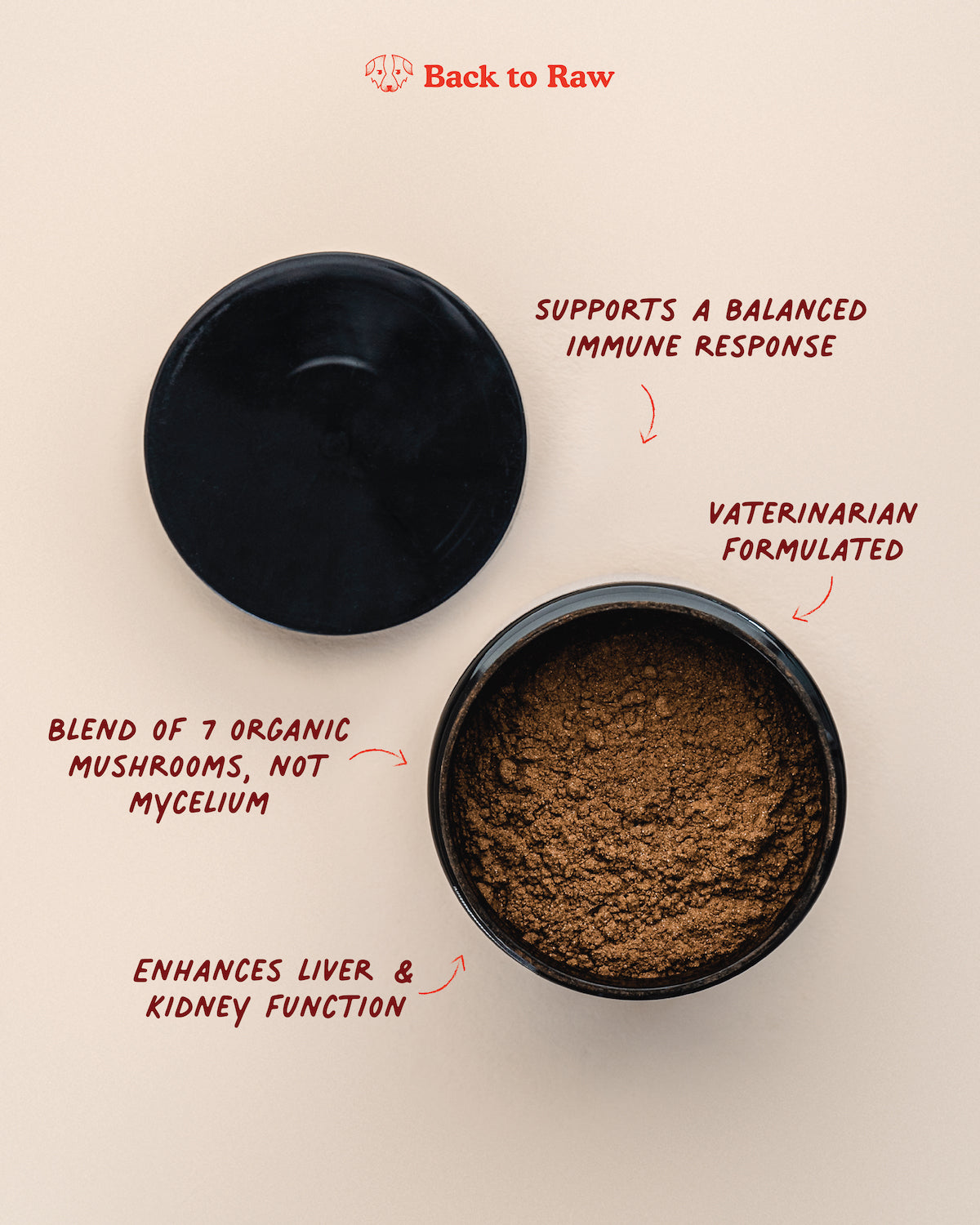 Seven' Shrooms - Organic Mushroom Mix