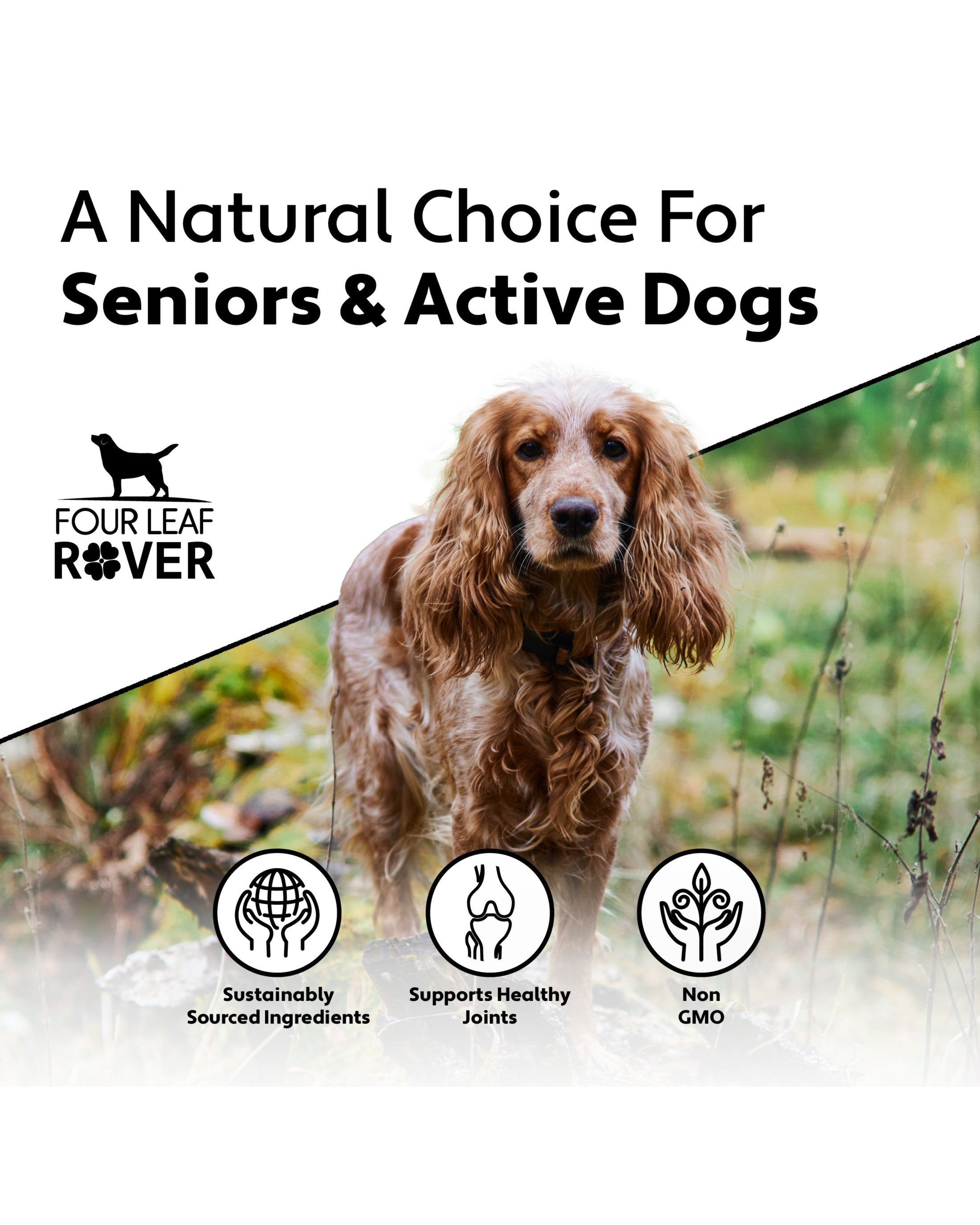 Hip &amp; Joint - Natural Joint Support