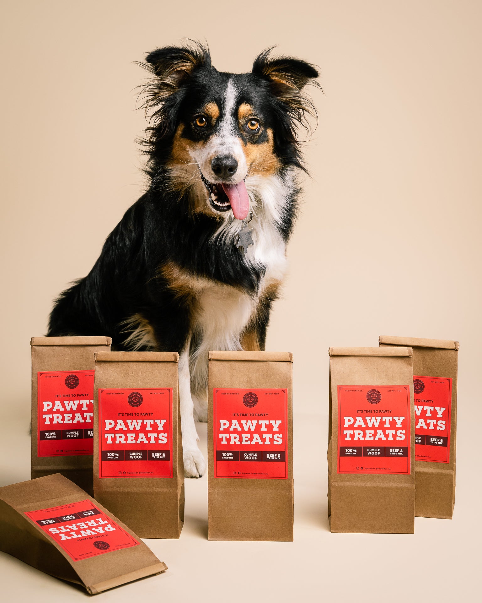 Pawty Treats