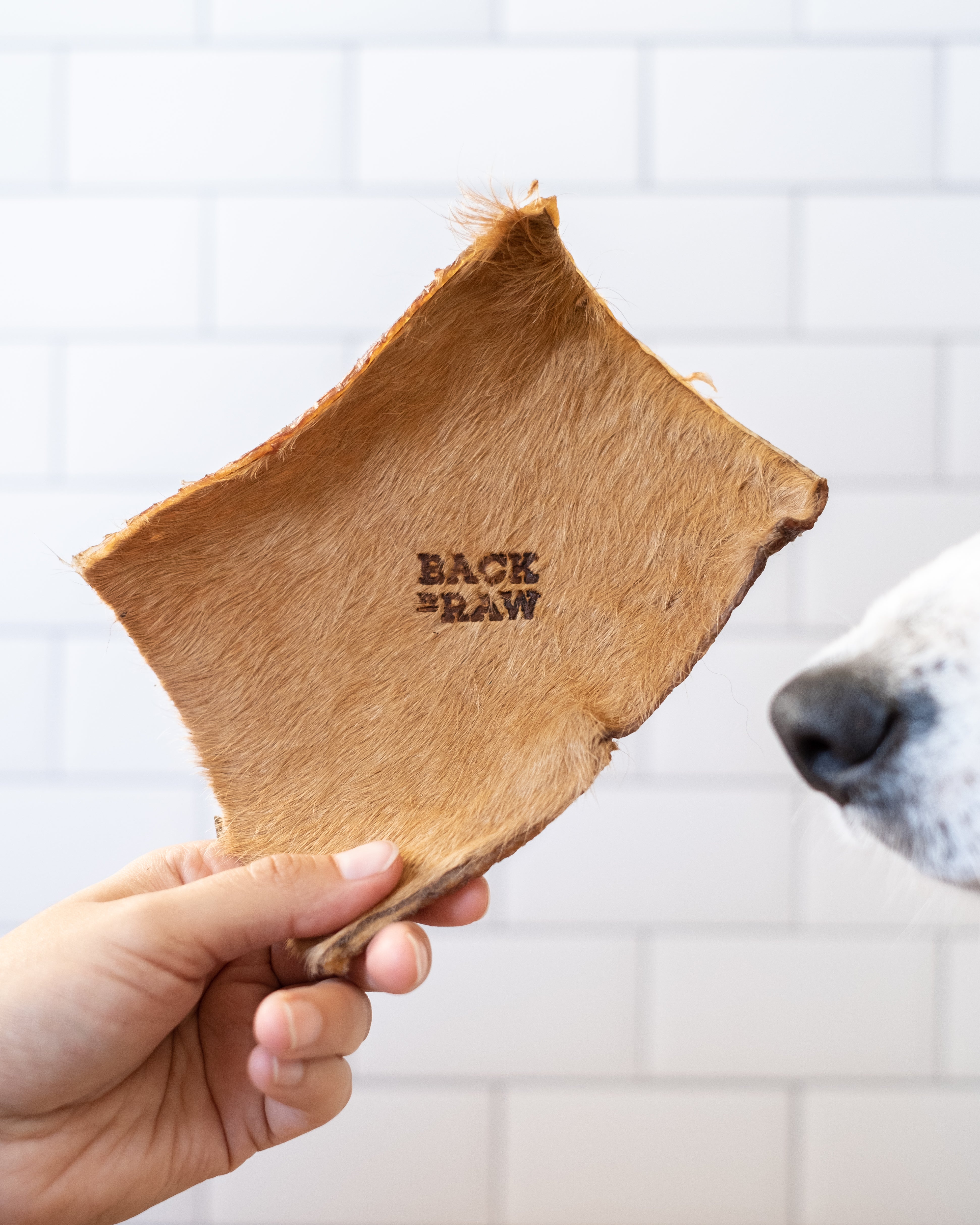 Air-Dried Cow Skin
